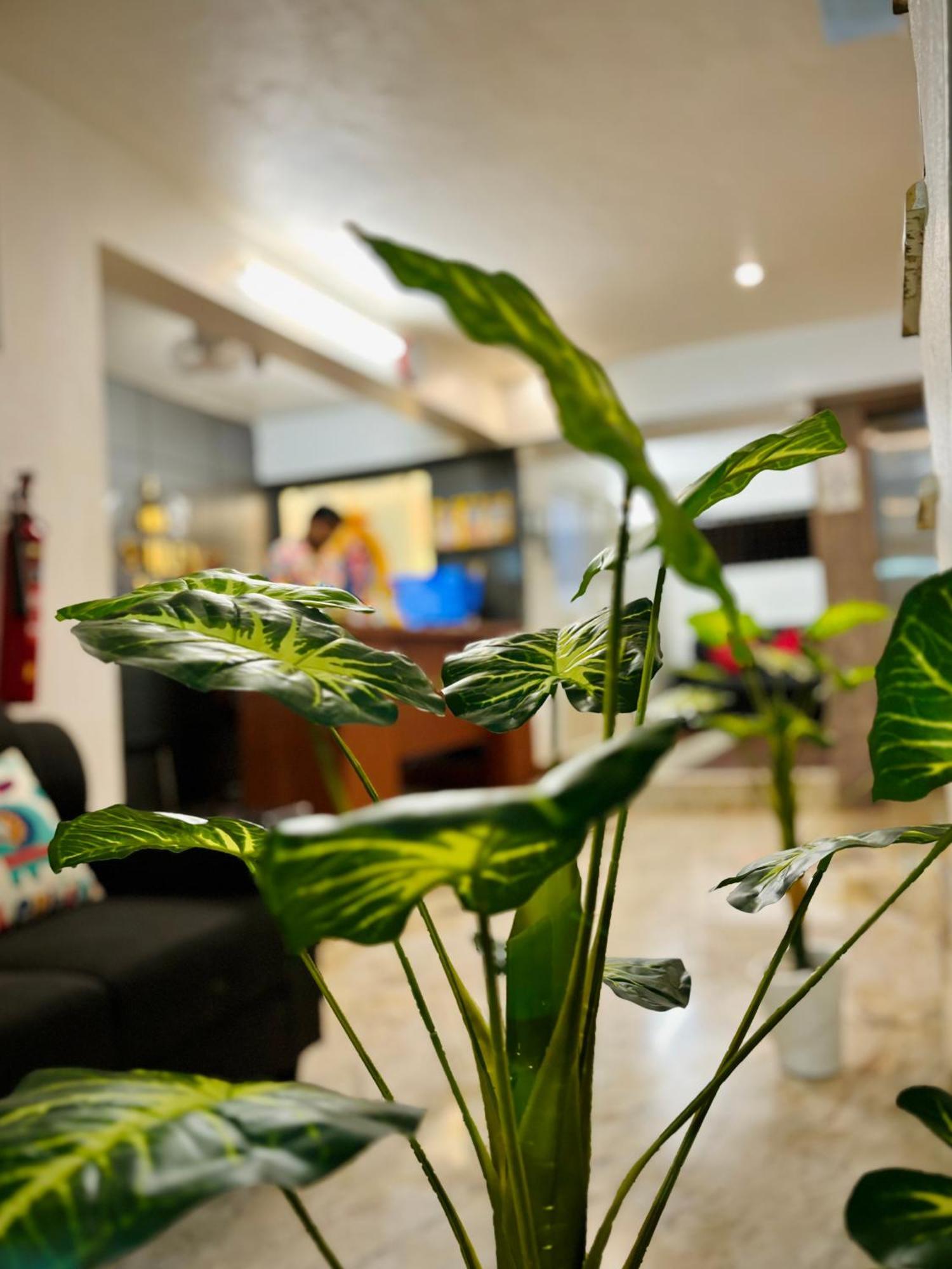 Sai Shreyas Residency, Best Hotel Near Bangalore Airport Dod Jala Екстериор снимка